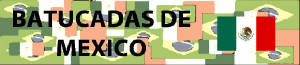 fondo.jpg